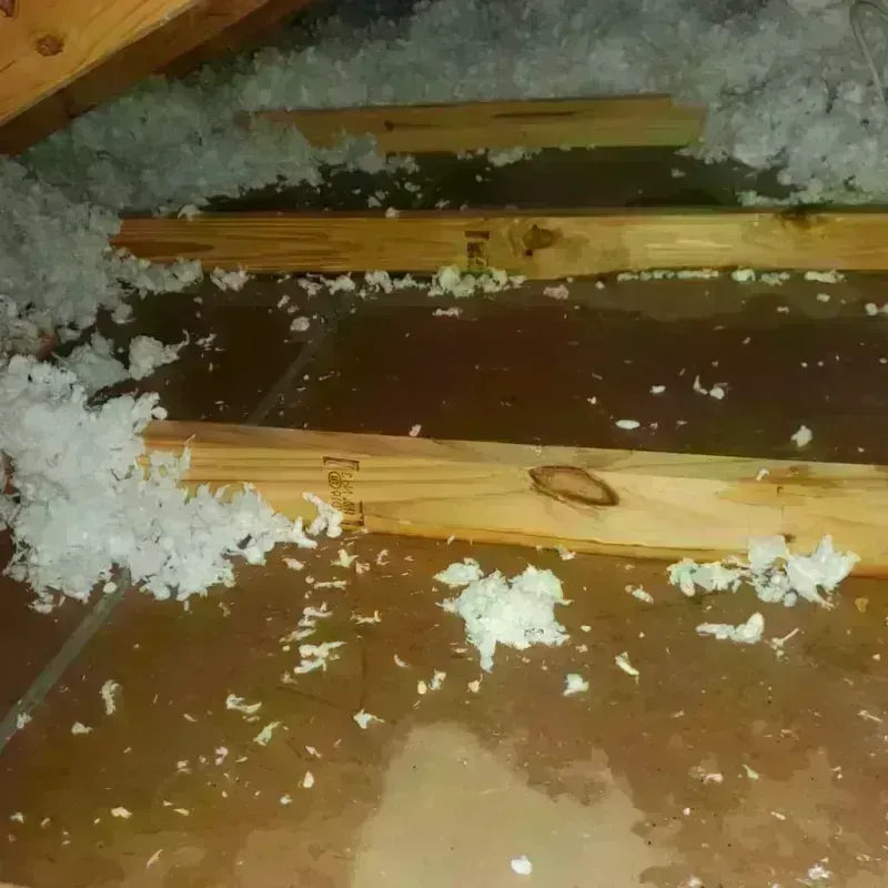 Attic Water Damage in Menifee, CA